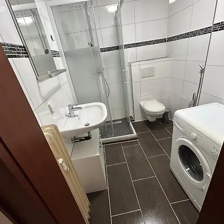 Apartment Gemuetliche 1-zimmerwohnung In Der Stadtmitte *